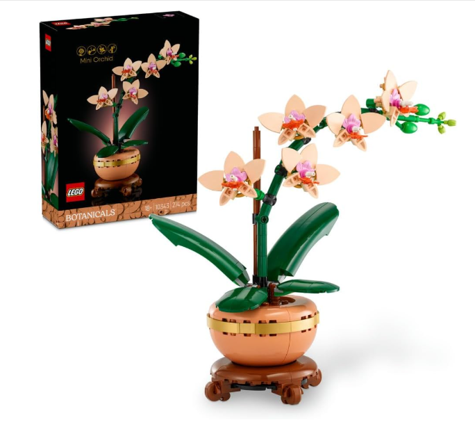 LEGO Botanicals Mini Orchid - Artificial Flowers Building Set for Adults - Indoor Plant w/a Terracotta Style Flowerpot - Home Decor Gift for Women - Valentine's Day Treat - 10343