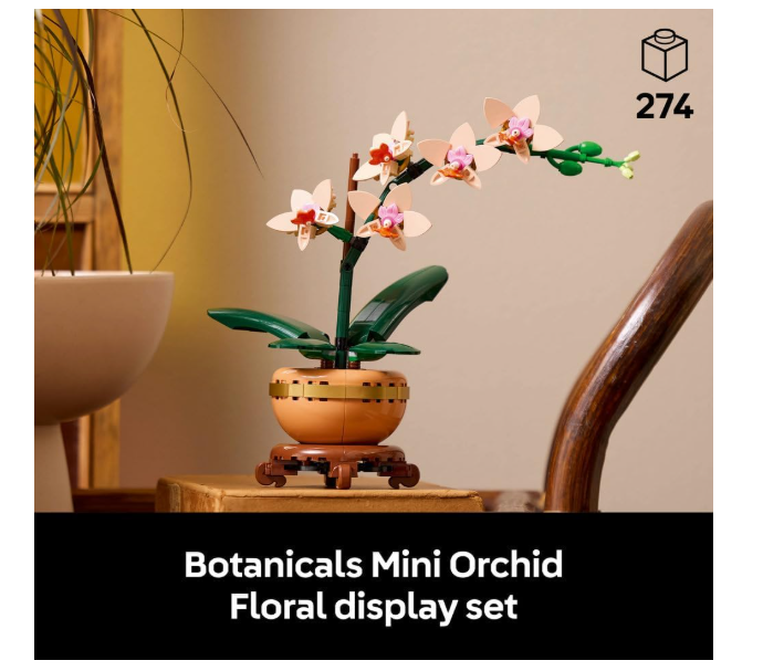 LEGO Botanicals Mini Orchid - Artificial Flowers Building Set for Adults - Indoor Plant w/a Terracotta Style Flowerpot - Home Decor Gift for Women - Valentine's Day Treat - 10343