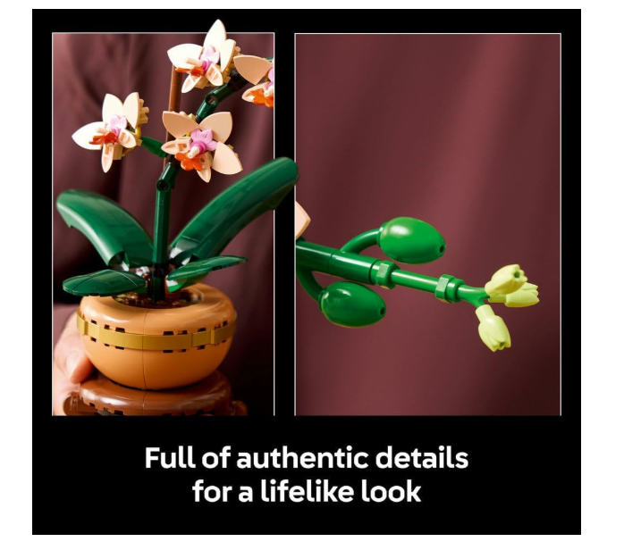 LEGO Botanicals Mini Orchid - Artificial Flowers Building Set for Adults - Indoor Plant w/a Terracotta Style Flowerpot - Home Decor Gift for Women - Valentine's Day Treat - 10343