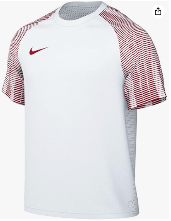 Nike Men's M Nk Df Academy Jsy Ss Jersey