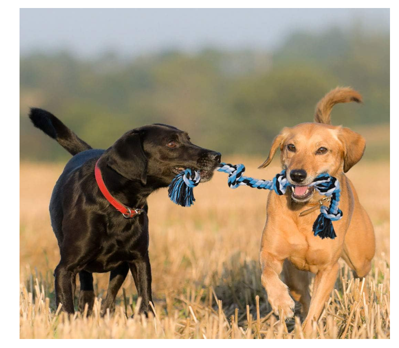 BMAG Dog Rope Toys for Aggressive Chewers, Interactive Heavy Duty Dog Toys for Medium Large Dogs, Tough Twisted Rope Toy with 5 Knots