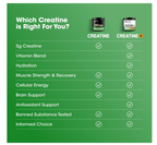 Optimum Nutrition (ON) Micronized Creatine Monohydrate Powder for Muscle Building Support - Unflavored, 300 Grams, 60 Servings - Package May Vary