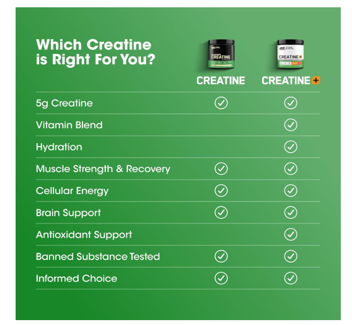 Optimum Nutrition (ON) Micronized Creatine Monohydrate Powder for Muscle Building Support - Unflavored, 300 Grams, 60 Servings - Package May Vary